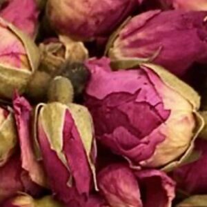 RED ROSE BUDS