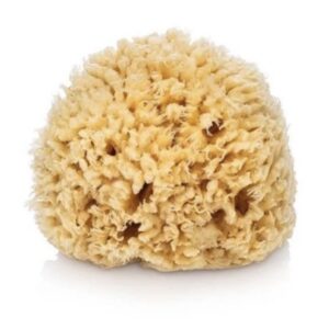 NATURAL SEA SPONGE