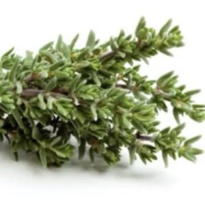 THYME