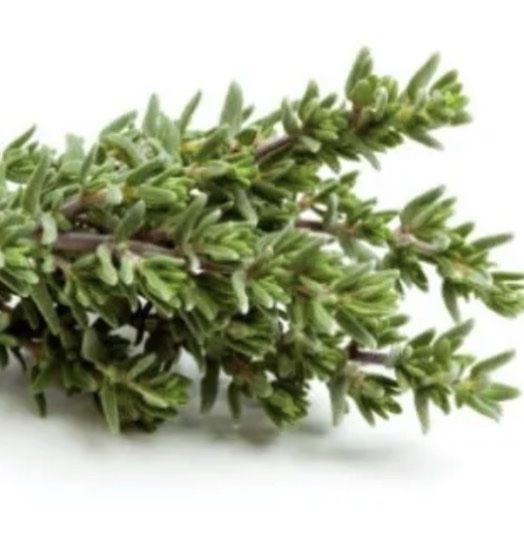 THYME